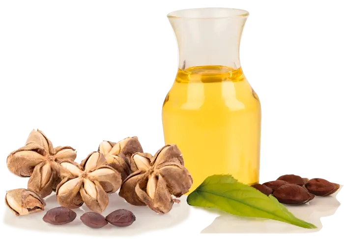 Glass jar of sacha inchi oil with sacha inchi pods and seeds