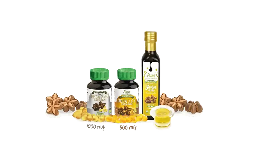 Sacha inchi oil bottle and omega 3-6-9 sacha inchi softgels of 1,000 mg and 500 mg